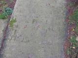 image of grave number 174527